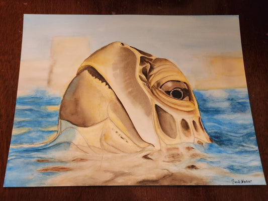 Watercolor painting of sea turtle